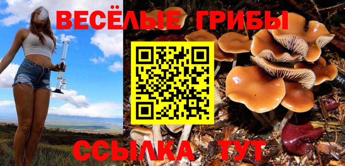 Саратов  Псилоцибиновые грибы мицелий  Псилоцибиновые грибы Psilocybe  хочу   Вход с VPN 